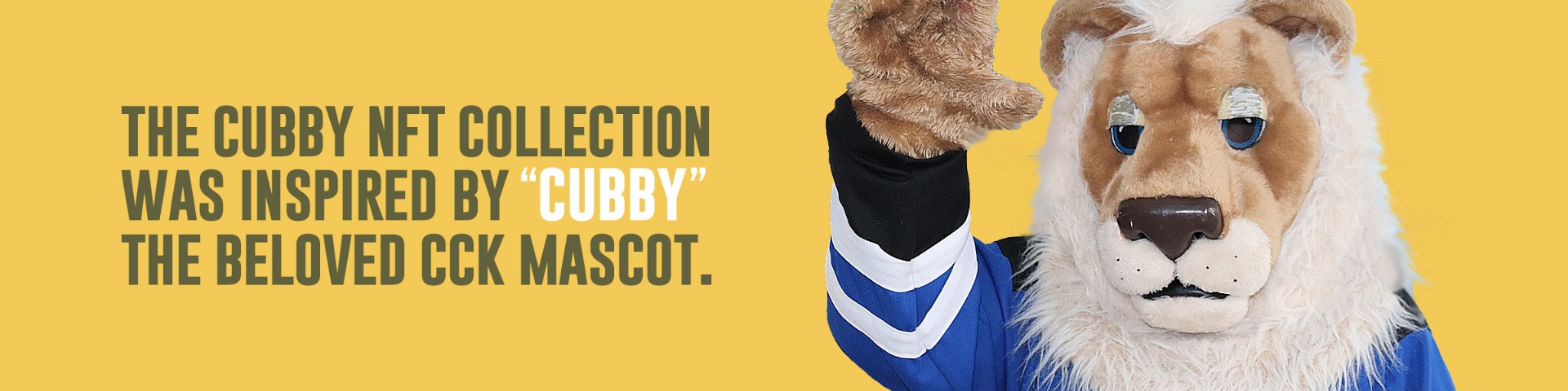 Cubs4Kids NFT | Help Children with Disabilities and Lifelong Illnesses ...